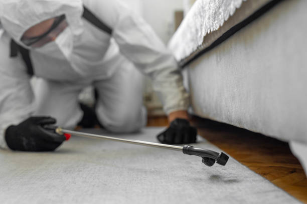Professional Bed Bug Control technician working in Brusly, LA
