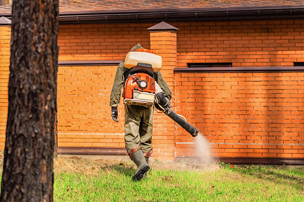 Trusted Ant Control service in Brusly, LA - Nex Pest Control